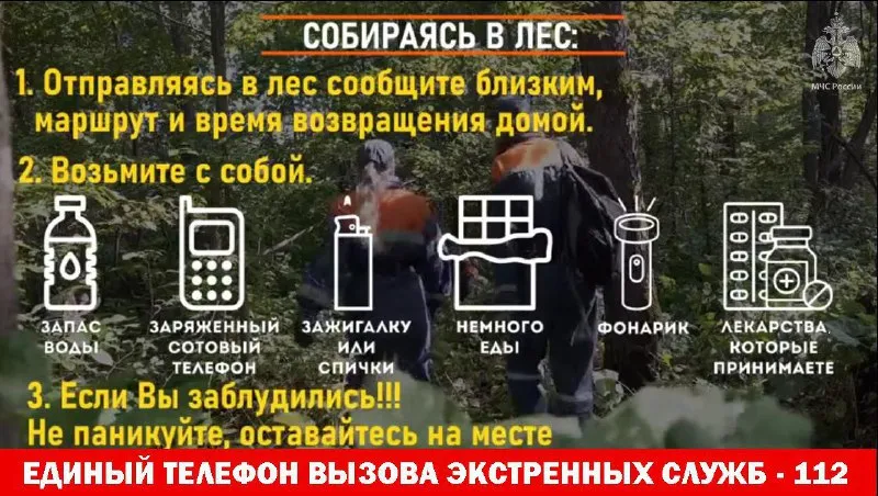 Собираясь в лес, ознакомьтесь с памяткой!